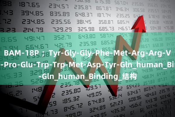 BAM-18P ；Tyr-Gly-Gly-Phe-Met-Arg-Arg-Val-Gly-Arg-Pro-Glu-Trp-Trp-Met-Asp-Tyr-Gln_human_Binding_结构