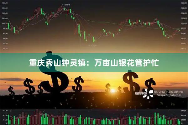重庆秀山钟灵镇：万亩山银花管护忙
